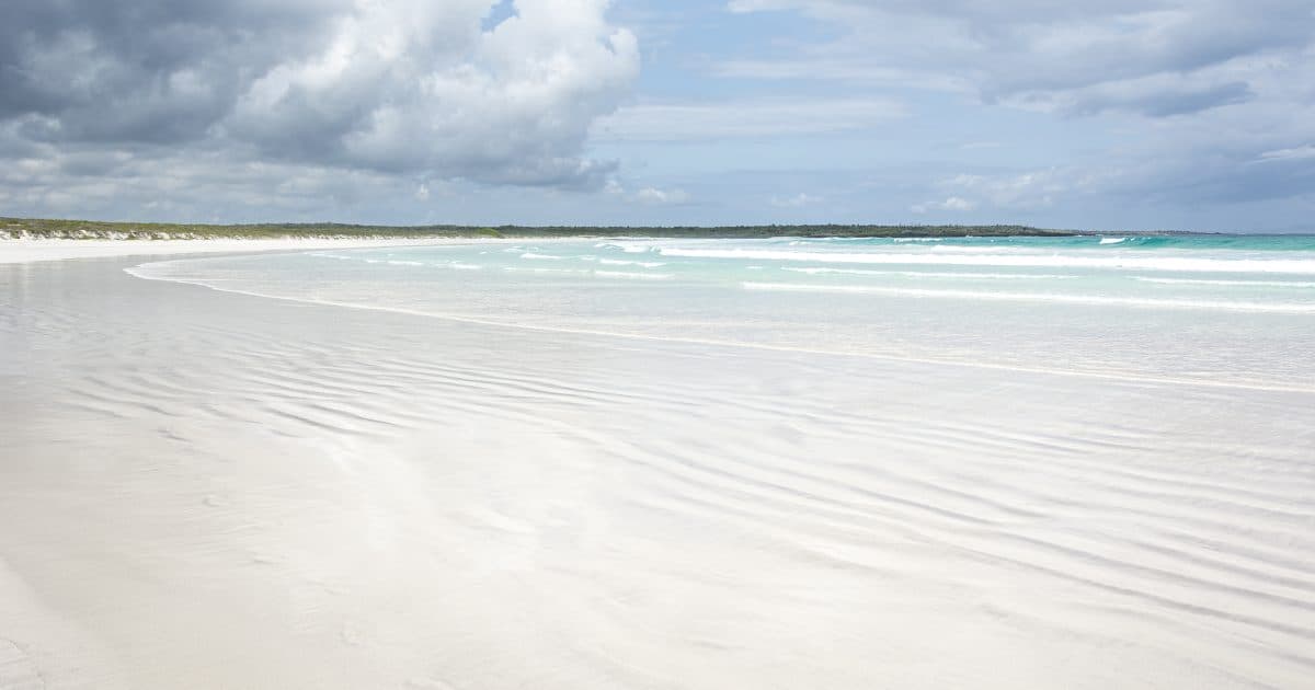 Santa Cruz