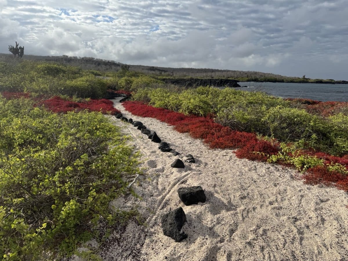 Isla Floreana (day-trip)