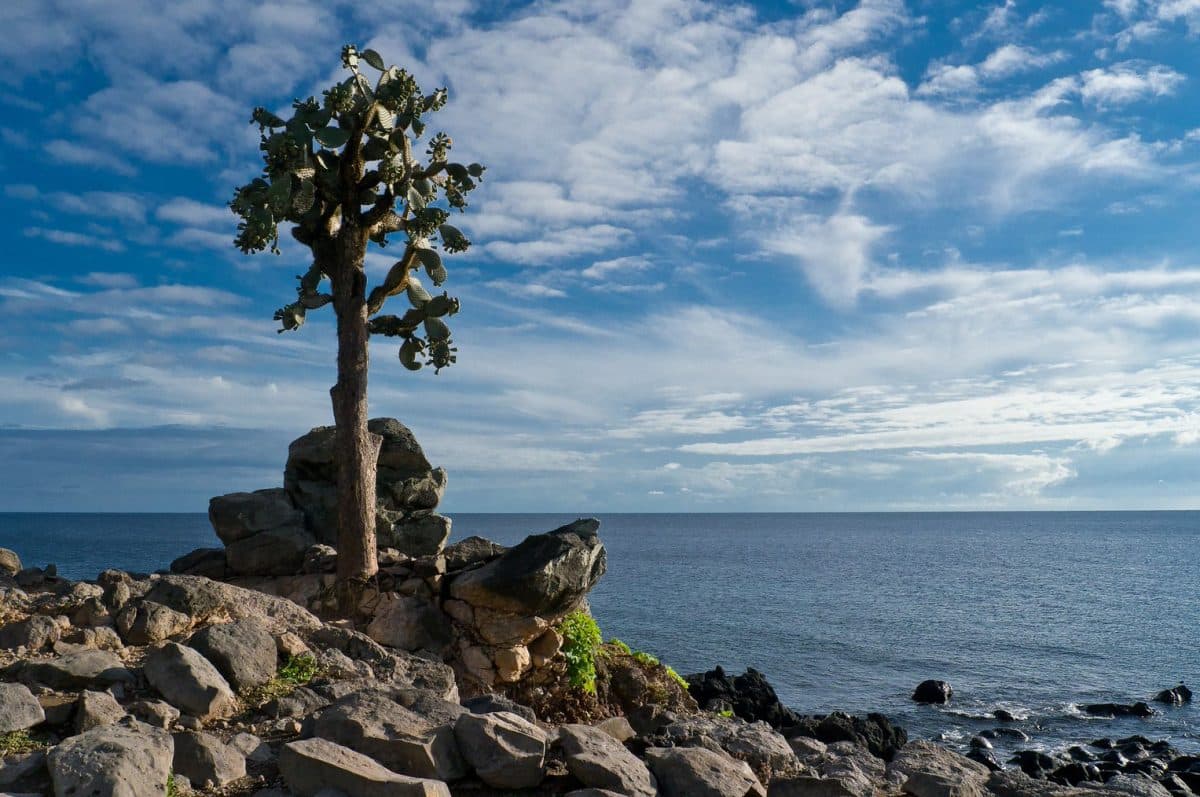 Isla Santa Fe - Playa Escondida