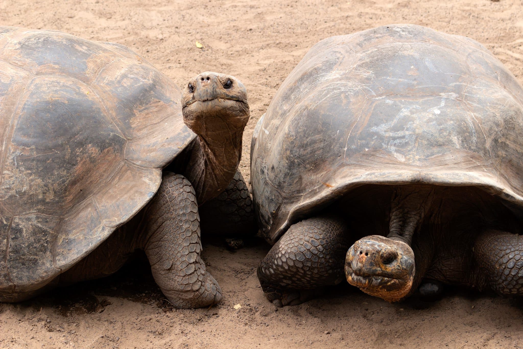 Familie genießt den Strand Tortuga Bay